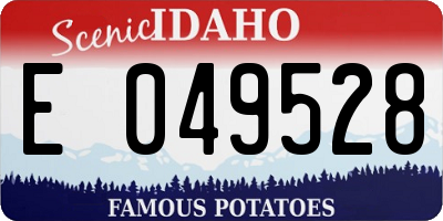 ID license plate E049528