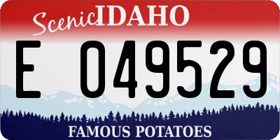 ID license plate E049529