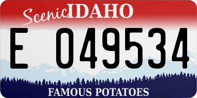 ID license plate E049534