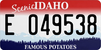 ID license plate E049538