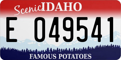 ID license plate E049541