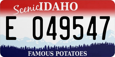 ID license plate E049547
