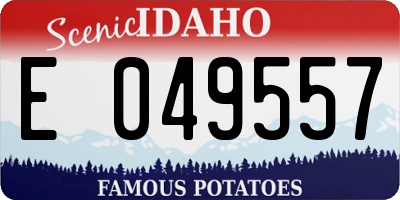 ID license plate E049557
