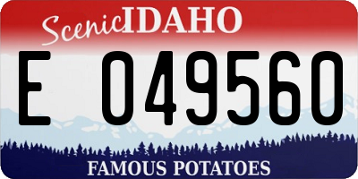 ID license plate E049560