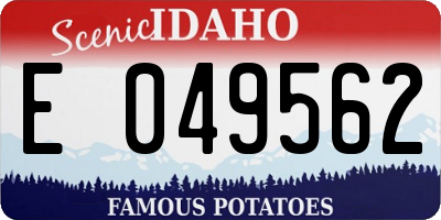 ID license plate E049562