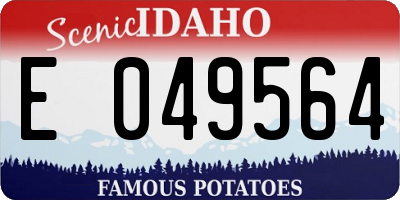 ID license plate E049564