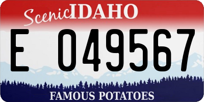 ID license plate E049567