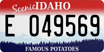 ID license plate E049569