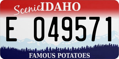 ID license plate E049571