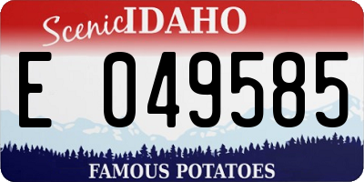 ID license plate E049585