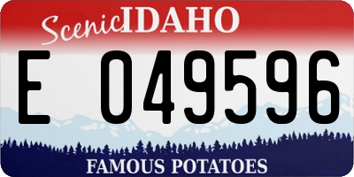 ID license plate E049596