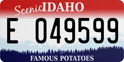 ID license plate E049599
