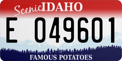 ID license plate E049601