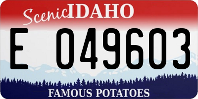 ID license plate E049603