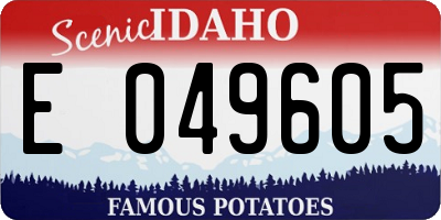 ID license plate E049605