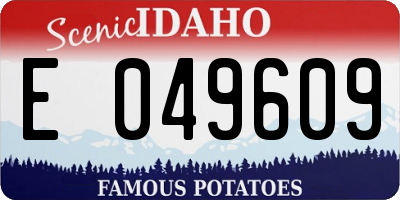 ID license plate E049609