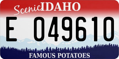 ID license plate E049610