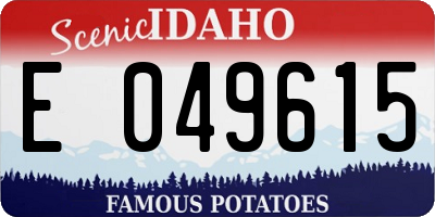 ID license plate E049615