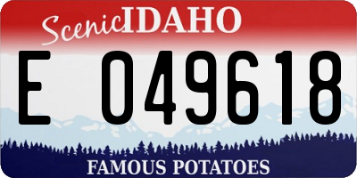 ID license plate E049618
