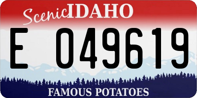 ID license plate E049619
