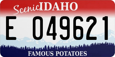 ID license plate E049621