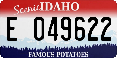 ID license plate E049622