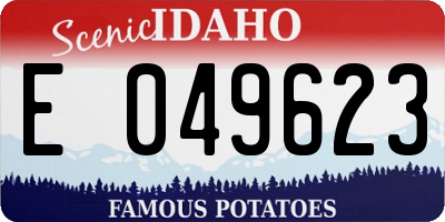 ID license plate E049623