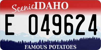 ID license plate E049624