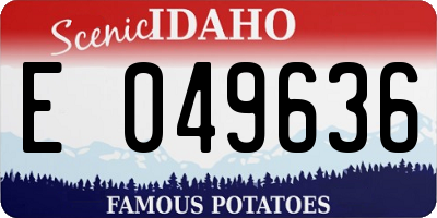 ID license plate E049636