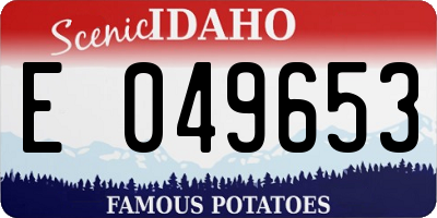 ID license plate E049653