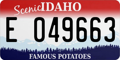 ID license plate E049663