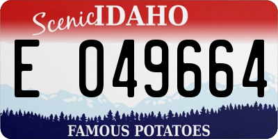 ID license plate E049664