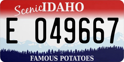 ID license plate E049667