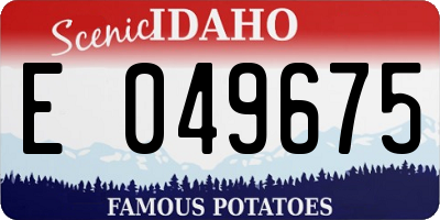 ID license plate E049675