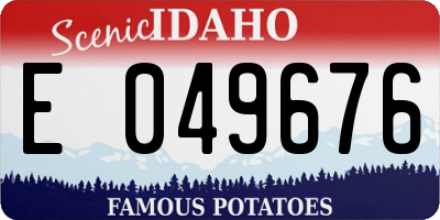 ID license plate E049676