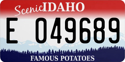 ID license plate E049689