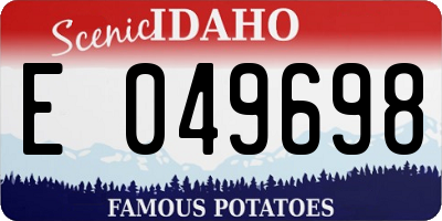 ID license plate E049698
