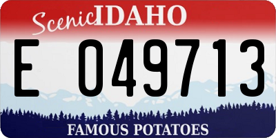 ID license plate E049713
