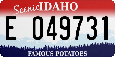 ID license plate E049731