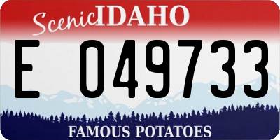 ID license plate E049733