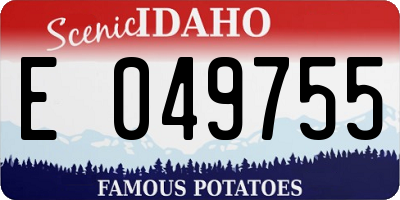 ID license plate E049755