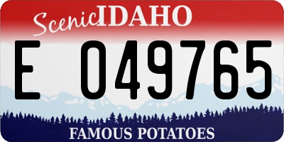 ID license plate E049765