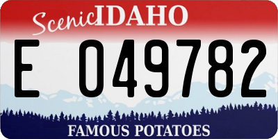 ID license plate E049782