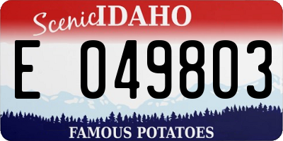 ID license plate E049803