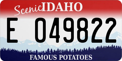 ID license plate E049822