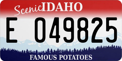 ID license plate E049825