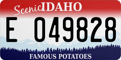 ID license plate E049828