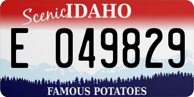 ID license plate E049829