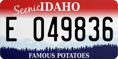 ID license plate E049836