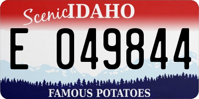 ID license plate E049844